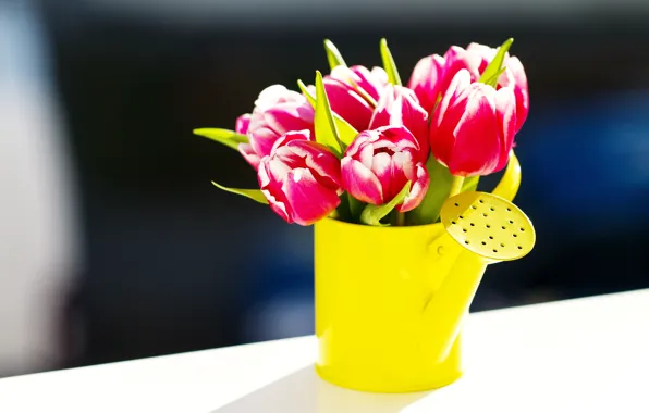 Flowers, bouquet, tulips, lake