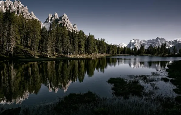 Picture forest, mountains, nature, lake, reflection