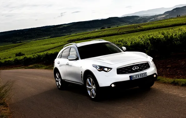 Picture road, field, white, the sky, jeep, infiniti, infiniti, the front