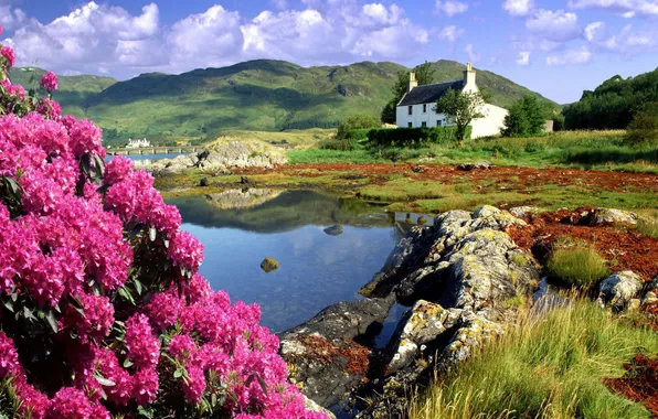 Flowers, mountains, shore, Scotland, house