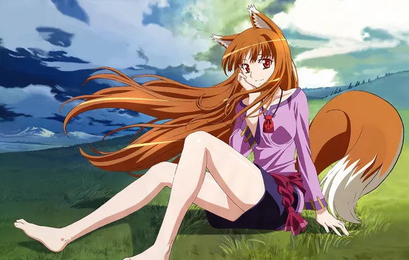 Field, the sky, girl, clouds, tail, sitting, spice and wolf, holo