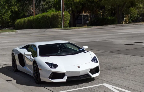 Picture House, White, Street, Aventador, Lamborghimi