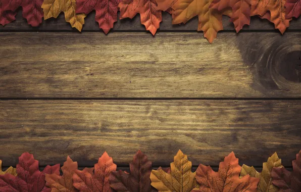 Autumn, leaves, background, tree, wood, background, autumn, leaves