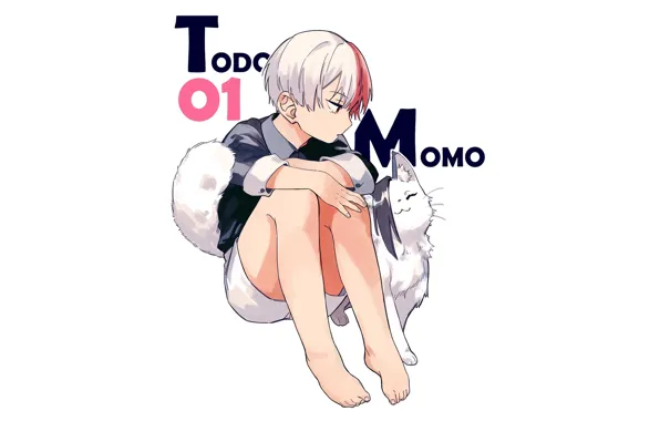 Cat, boy, My Hero Academia, Boku No Hero Academy, Todoroki Shoto, My Hero Academy, Airoso …