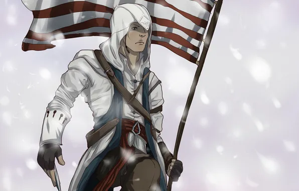 Flag, American, assassins creed 3, connor