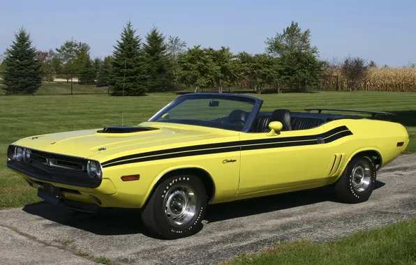 Picture road, field, the sky, trees, yellow, Dodge, 1971, Dodge