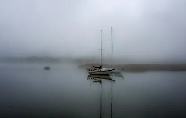 Picture landscape, fog, lake, boats