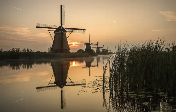 Picture the sun, river, sunrise, reed, mill, Holland