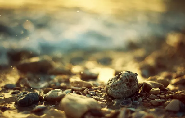 Stones, shell, bokeh