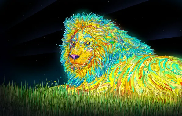 Picture the sky, grass, stars, color, Leo, mane