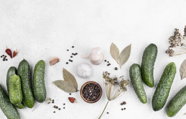 Dill, white background, cucumbers, garlic