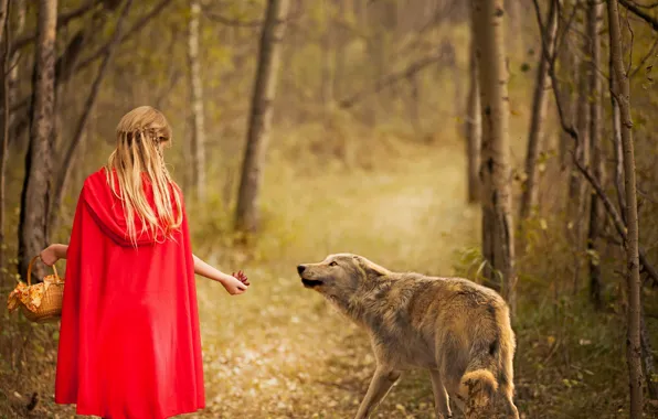 Forest, wolf, girl, Red and wolf