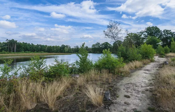 The sky, Grass, Trees, River