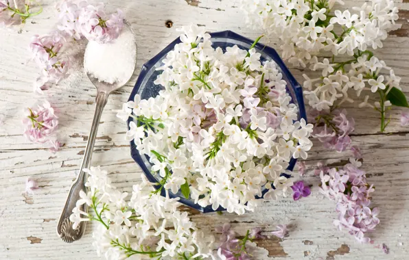 Picture spoon, lilac, inflorescence