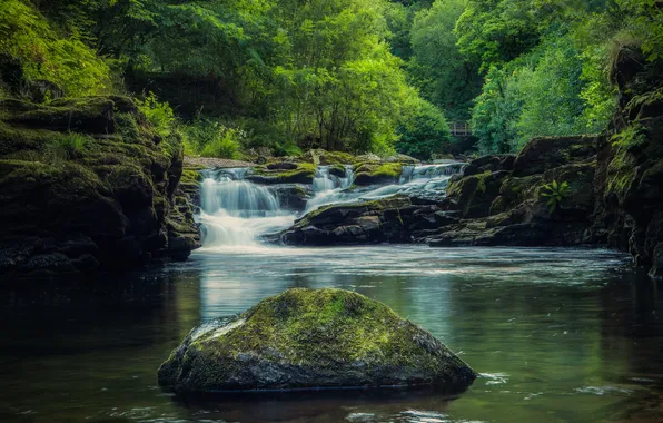 Greens, forest, summer, trees, stones, rocks, shore, waterfall