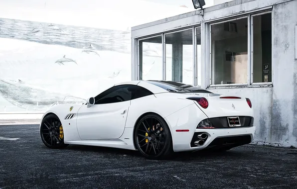 White, the building, Windows, white, california, ferrari, Ferrari, rear view