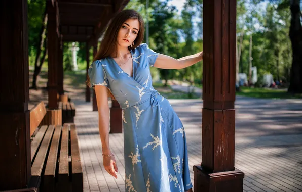 Picture look, girl, pose, hands, dress, long hair, Dmitry Shulgin