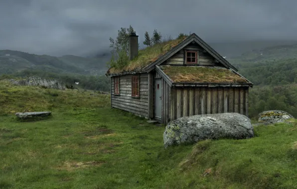 Picture forest, nature, house