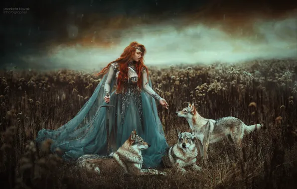 Girl, sword, dress, wolves, red, redhead, Marketa Novak, Zuzana Kushniruk