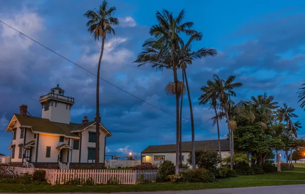 Road, the sky, clouds, trees, lights, house, palm trees, the fence