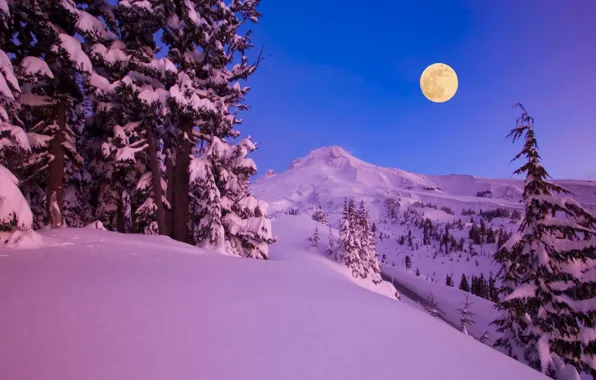 Winter, snow, trees, mountains, night, nature, the moon, a month