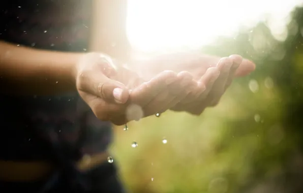 Water, drops, macro, light, hands