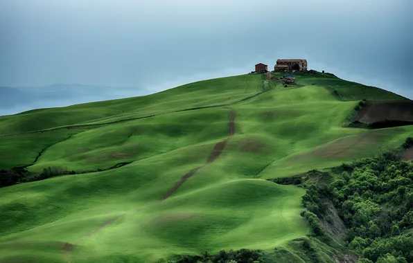 Picture landscape, italy, tuscany