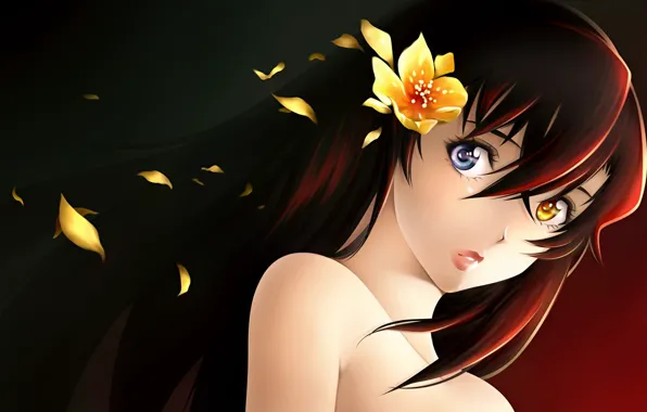 Picture flower, girl, hair, anime