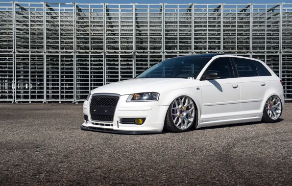 Audi, Audi, white, white, stance, frontside