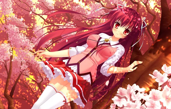Picture girl, trees, flowers, petals, Sakura, art, tape, form