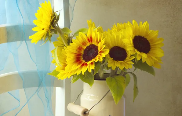 Picture flowers, sunflower, cans
