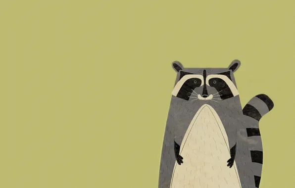 Picture animal, minimalism, raccoon, animal