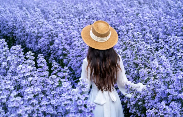 Field, girl, flowers, white, back, hat, dress, brown hair