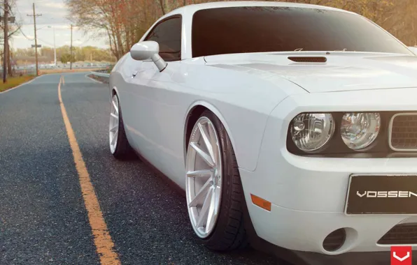 Autumn, forest, Dodge, Challenger, vossen