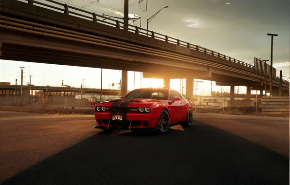 Wallpaper Dodge, Challenger, Sunset, Shadow, SRT for mobile and desktop ...