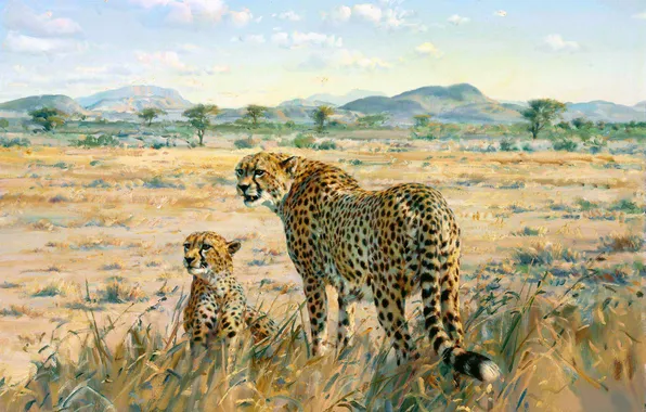 Picture Grass, Picture, Two, Savannah, Donald Grant, Predators, Cheetahs, British animal artist