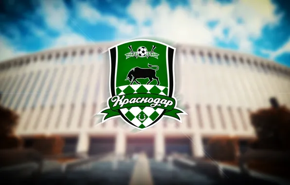 Sport, Logo, Bull, Logo, Russia, Stadium, Football club, Bulls