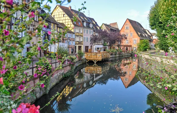 Flowers, river, France, home, Colmar