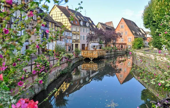 Picture flowers, river, France, home, Colmar