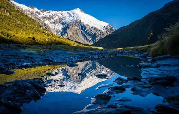 Mountains, Lake, New Zealand, Landscape, Dart Glacier