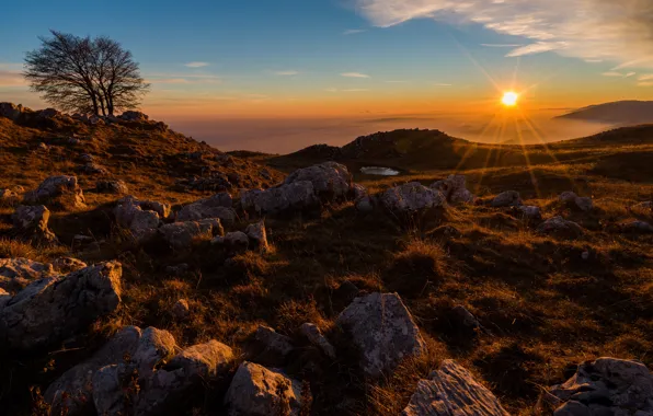 Picture field, autumn, the sky, the sun, rays, trees, sunset, fog