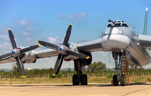 Picture Bear, Parking, The Russian air force, Bear, Tu-95, OKB A. N. Tupolev