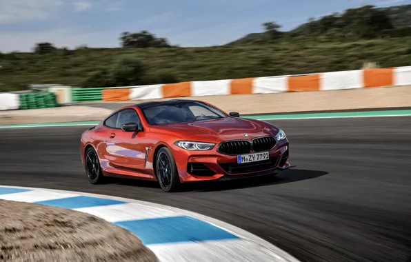 Coupe, track, BMW, Coupe, 2018, the curb, 8-Series, dark orange