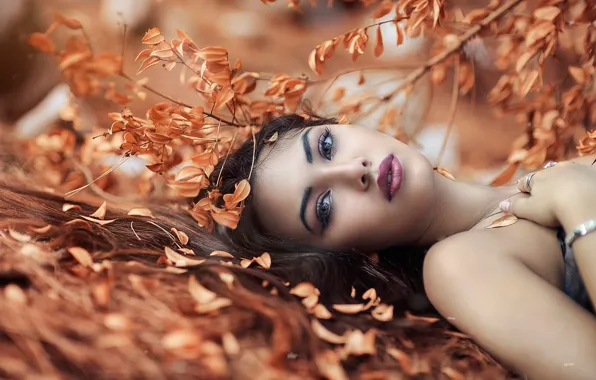 Picture autumn, girl, makeup, Alessandro Di Cicco, Desired