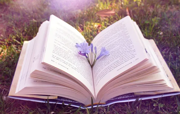 Book, Leaves, U-turn