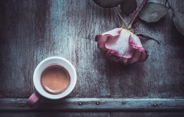 Picture flower, rose, coffee