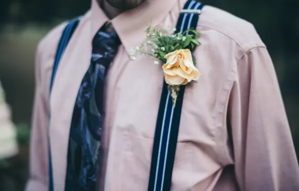 Picture flower, shirt, braces