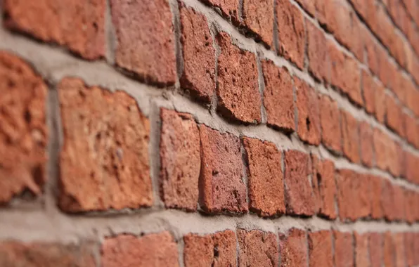 Picture macro, wall, bricks