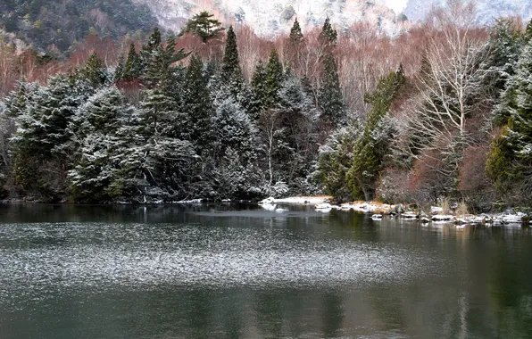 Picture forest, snow, mountains, lake