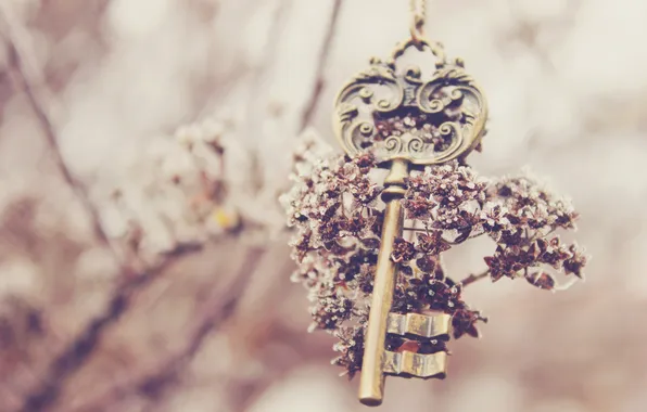 Picture flower, key, keys